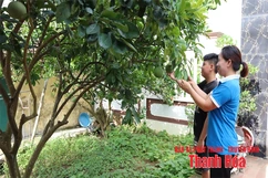 Gia đình - “ngôi trường đầu tiên” của con trẻ