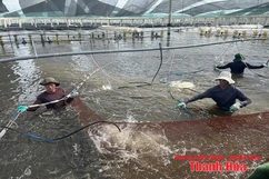 Khi công nghệ thành “bạn đồng hành”