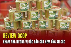 [REVIEW OCOP] Khám phá hương vị độc đáo của nem ống An Cúc