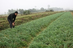 Đảng bộ xã Vạn Thắng lãnh đạo nhân dân phát triển kinh tế - xã hội, xây dựng nông thôn mới