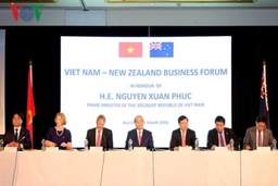 Thúc đẩy hợp tác Việt Nam - New Zealand trong điều kiện CPTPP