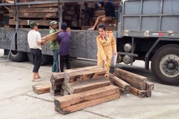 Bắt giữ xe tải vận chuyển gỗ lậu