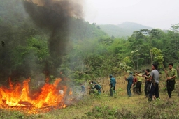 Chủ động phòng cháy, chữa cháy rừng