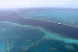 Thử nghiệm thành công lá chắn bảo vệ rạn san hô lớn nhất thế giới
