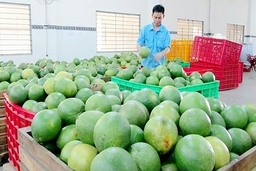 Liên kết, tiêu thụ gần 1.200 tấn nông sản