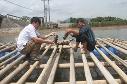 Hiệu quả từ những mô hình nuôi trồng thủy sản ở huyện Tĩnh Gia