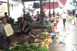 Nhiều bất cập trong tiêu thụ nông sản ở chợ quê
