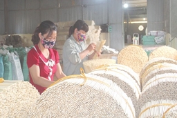 Doanh nghiệp mới thành lập ở khu vực miền núi Thanh Hóa tăng 34%