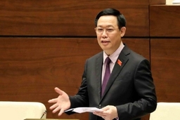 Phó Thủ tướng Vương Đình Huệ trả lời chất vấn