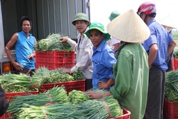 200 ha cây trồng của huyện Hậu Lộc được liên kết, tiêu thụ sản phẩm