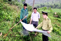 Hạt Kiểm lâm huyện Lang Chánh tập trung trồng mới rừng sản xuất