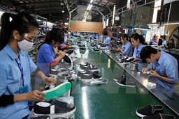 Ngành da giày Việt Nam vẫn phải nhập khẩu nguyên liệu tới 60%