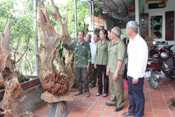 Hội Cựu TNXP xã Tế Thắng đẩy mạnh các phong trào thi đua và hoạt động nghĩa tình