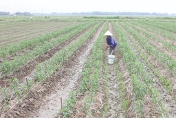 Chuyển biến bước đầu từ phong trào phụ nữ nói không với thực phẩm bẩn