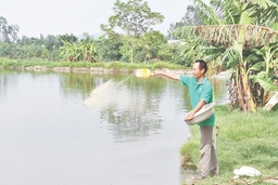 Phát triển nuôi trồng thủy sản nước ngọt