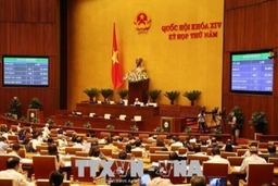 Ngày 14-6: Quốc hội biểu quyết thông qua dự thảo Luật Thể dục, thể thao