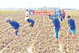 Huyện Triệu Sơn quan tâm phát triển Đảng trong đoàn viên, thanh niên