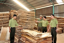 Huyện Quan Hóa kiểm tra 26 cơ sở chế biến lâm sản