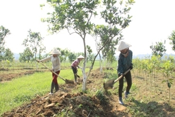 “Quả ngọt” từ những nghị quyết về nông nghiệp ở các huyện miền núi