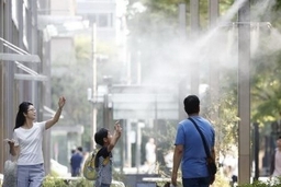 Nhật Bản: Nhiều người thiệt mạng do say nắng