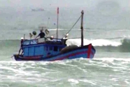 Huyện Hậu Lộc: 2 ngư dân mất tích trên biển