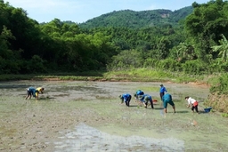 Chương trình tình nguyện “Góp yêu thương về miền biên cương đất mẹ” tại xã Tam Lư (Quan Sơn)