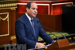 Tổng thống Ai Cập cảnh báo về những âm mưu gây bất ổn đất nước