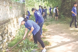 Tuổi trẻ Ngọc Lặc chung tay xây dựng nông thôn mới