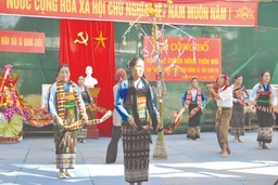 Kinh nghiệm từ xây dựng thôn, bản nông thôn mới ở miền núi