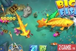 Tố giác hành vi lập trang web Big Fish Game Việt Nam để lừa đảo