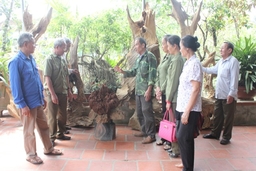 Nghị lực của cựu chiến binh Đỗ Văn Hạ