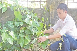 Vườn Quốc gia Bến En ứng dụng tiến bộ khoa học - kỹ thuật trong công tác bảo tồn hệ sinh thái