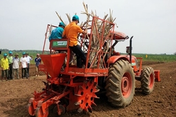Hơn 29 tỷ đồng hỗ trợ cơ giới hóa vùng thâm canh mía