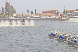 Sản lượng nuôi trồng thủy sản huyện Nông Cống đạt 1.744 tấn