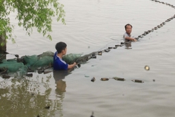 Huyện Vĩnh Lộc phát triển 638 ha nuôi trồng thủy sản