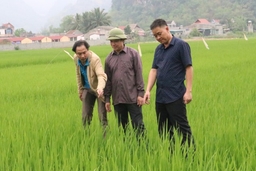 Phát triển nông nghiệp bền vững - nhìn từ người nông dân nghèo