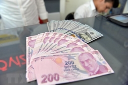Thổ Nhĩ Kỳ sẽ vượt qua khủng hoảng tiền tệ, không cần IMF hỗ trợ