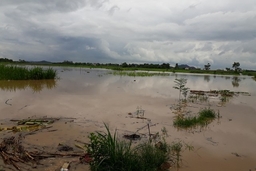 Xã Vĩnh Yên (Vĩnh Lộc) sơ tán 131 hộ dân trong vùng ngập lụt đến nơi an toàn