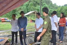 Ban Pháp chế HĐND tỉnh thực hiện công tác giám sát chuyên đề