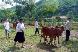 Chăm lo cho người nghèo cần có trọng tâm, trọng điểm