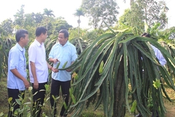 Huy động gần 7,6 tỷ đồng xây dựng  “Thôn nông thôn mới kiểu mẫu”