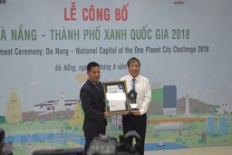 Đà Nẵng là thành phố xanh quốc gia của Việt Nam năm 2018