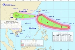 Chủ tịch UBND tỉnh ra công điện chỉ đạo ứng phó bão số 5 và siêu bão Mangkhut