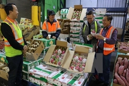 Người Việt có xu hướng chi tiêu “tiết kiệm một cách có chọn lọc”