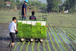 Kế hoạch sản xuất ngành trồng trọt năm 2019