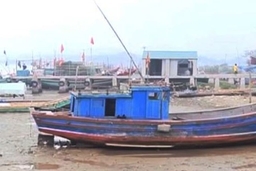 Sớm có biện pháp khắc phục bồi lắng ở Bến cá Quảng Nham