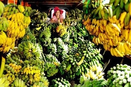 Thu 6 tỷ USD từ xuất khẩu hàng nông sản sang Trung Quốc
