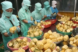 Triển khai thực hiện Luật Hỗ trợ doanh nghiệp nhỏ và vừa trên địa bàn tỉnh