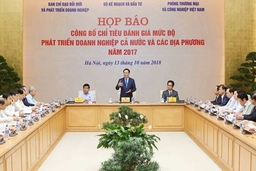 Công bố Bộ chỉ tiêu đánh giá mức độ phát triển doanh nghiệp