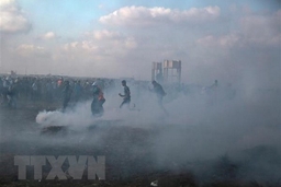 Hamas bác bỏ yêu cầu chấm dứt biểu tình tại biên giới Gaza-Israel